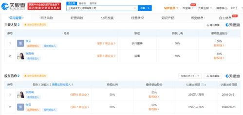 數(shù)字文化創(chuàng)意內(nèi)容的應(yīng)用服務(wù) 重塑未來(lái)的文化體驗(yàn)